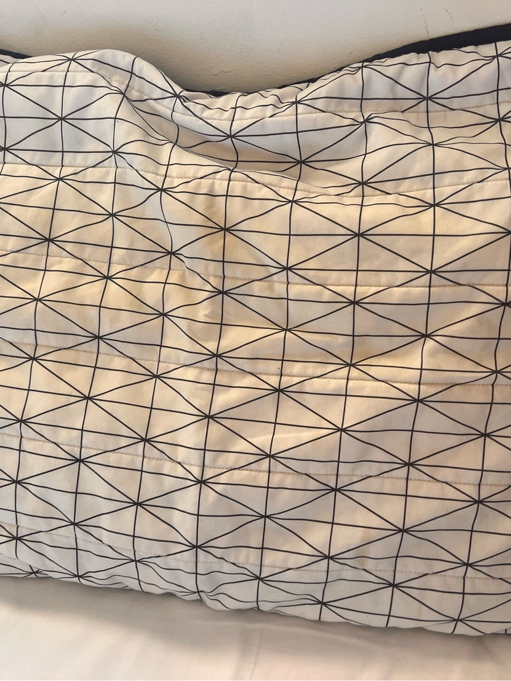 Room Essentials Black Geometric Grid Pillow Sham on White